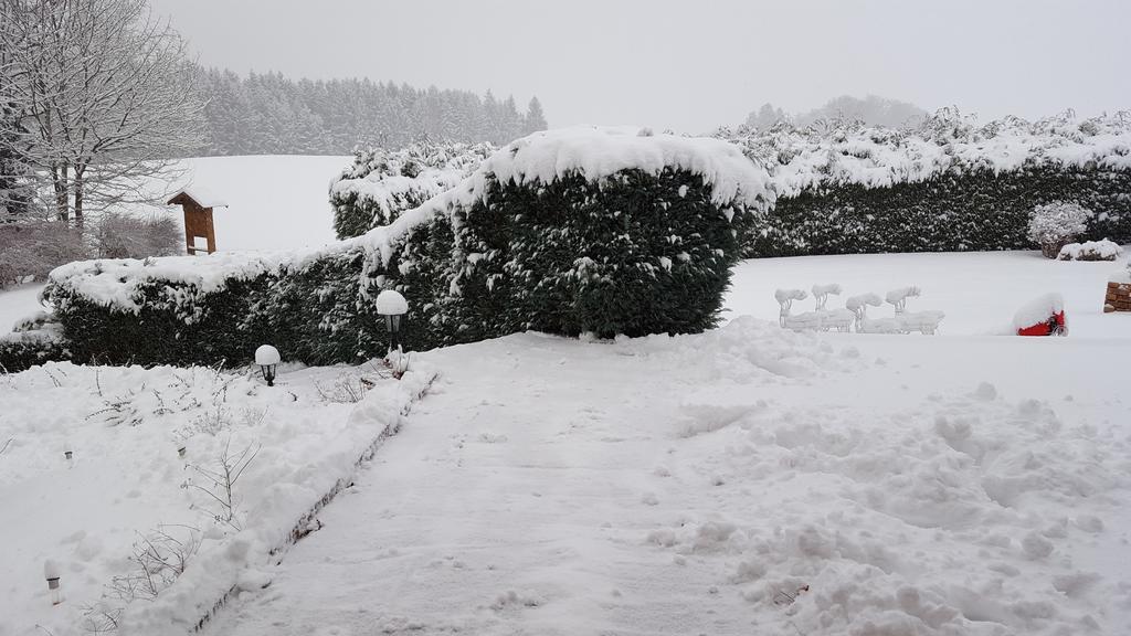 Le Clos Des Aulnes Anould Dış mekan fotoğraf